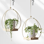 Hanging Flower Pot Bracket Air Plant Wall Decoration