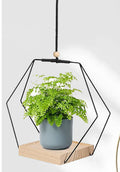 Hanging Flower Pot Bracket Air Plant Wall Decoration