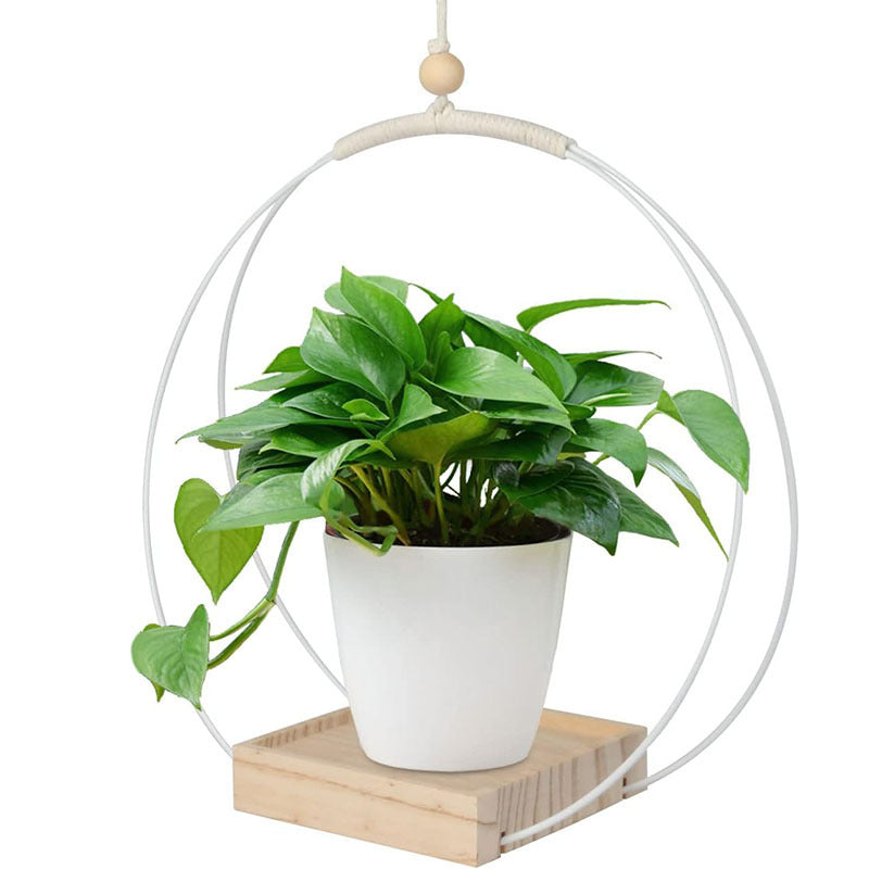 Hanging Flower Pot Bracket Air Plant Wall Decoration
