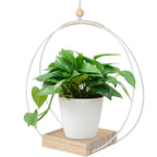 Hanging Flower Pot Bracket Air Plant Wall Decoration