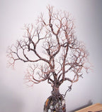 Ancient Tree Metal Sculpture Lamp