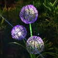 Outdoor Solar Dandelion Lantern 3 LED Garden Pathway