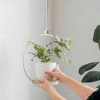 Hanging Flower Pot Bracket Air Plant Wall Decoration
